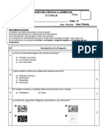 EXAMEN DE CIENCIA Y AMBIENTE - 5to de Primaria - II UNIDAD