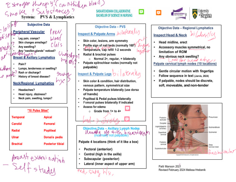 PVS regional lymphatics study map 2024 | PDF | Edema | Neck