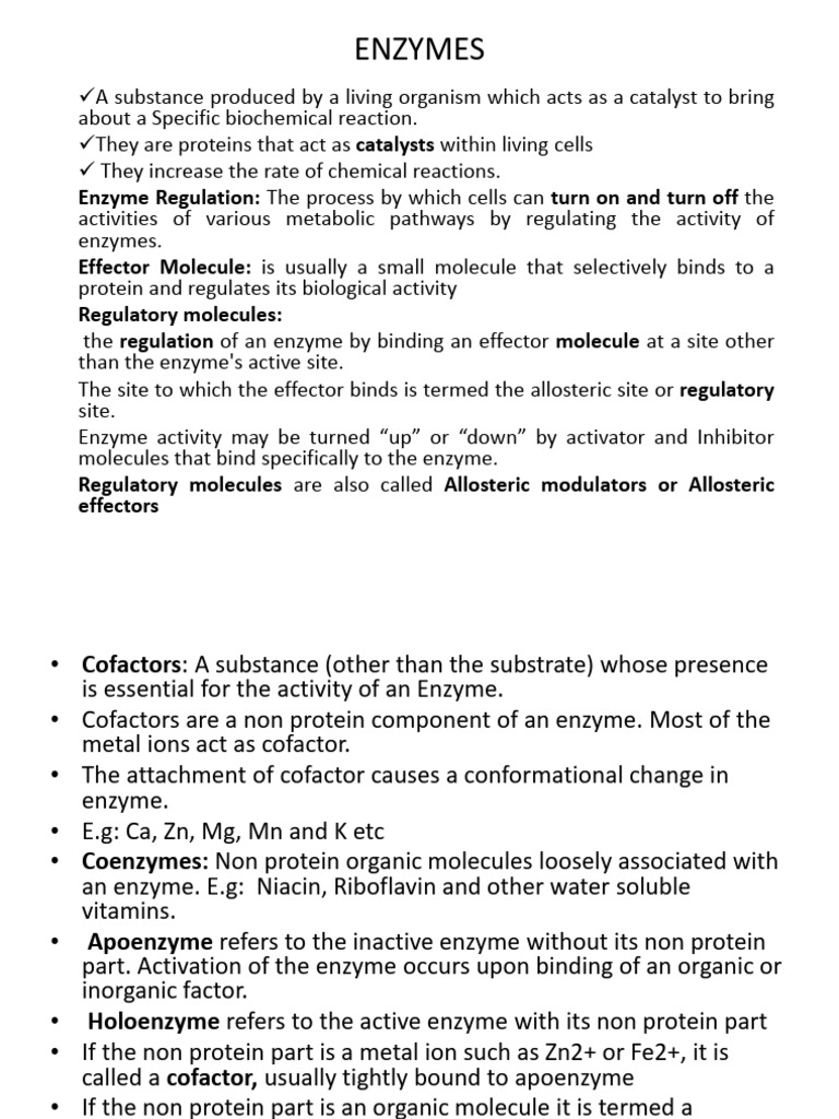 28_ENZYMES | PDF | Enzyme | Active Site
