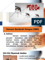 Demam Berdarah Dengue