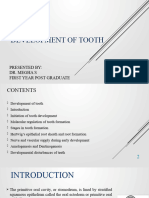 3.development of Tooth