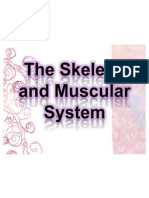 The Skeletal and Muscular System