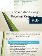 Konsep Dan Prinsip Promosi Kesehatan 1