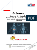 Endocrine System