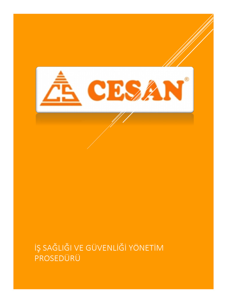 Yonetim Prosedure Cesan | PDF