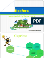 biosfera._caracteristici_si_importanta