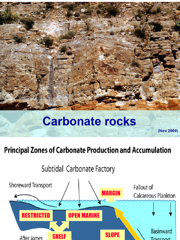 Carbonate Rocks | PDF | Limestone | Earth Sciences
