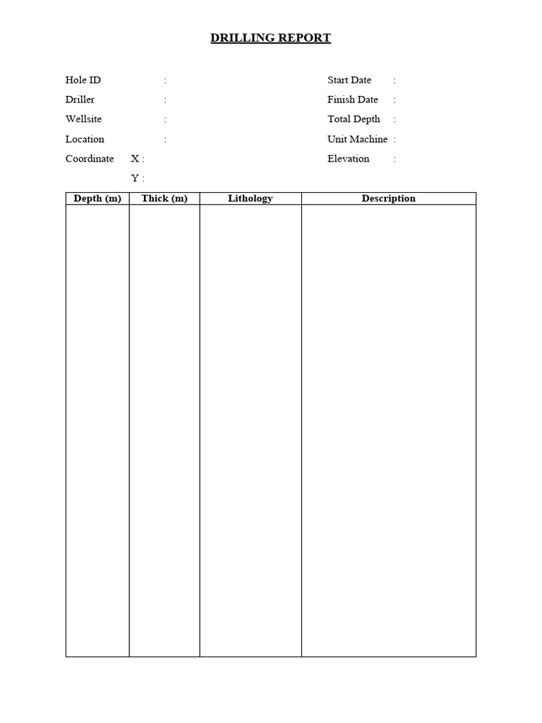 Drilling Report Overview and Details | PDF | History