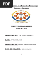 PDF Document