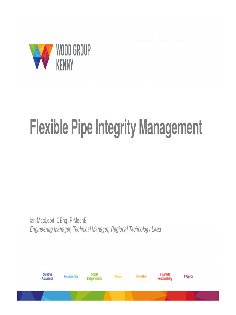 Flexible Pipe Integrity Management Guide | PDF | Pipe (Fluid Conveyance ...