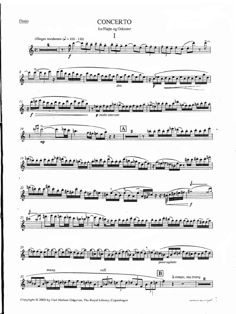 売れ筋がひ贈り物！ - Nielsen Concerto Mathematics & Science | PDF | Flute For アート・デザイン・音楽