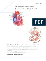 531903427-sistemul-circulator-fisa-de-recapitulare