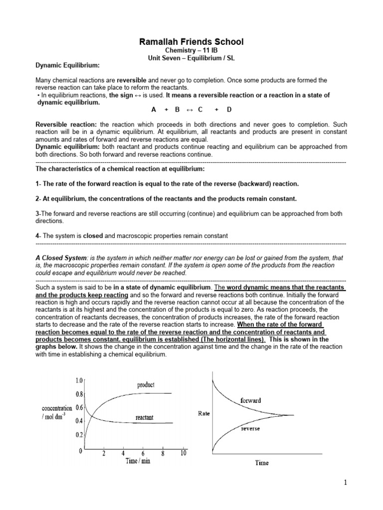 Understanding Dynamic Equilibrium in Chemistry | PDF | Reaction Rate ...