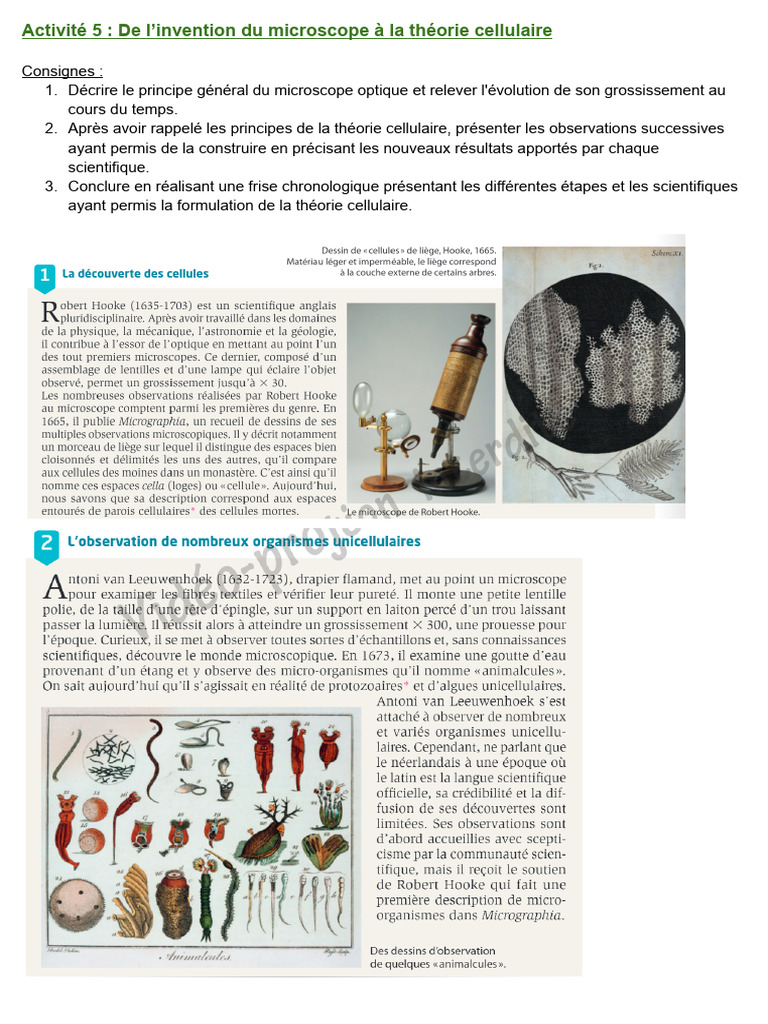 Histoire du microscope et théorie cellulaire | PDF
