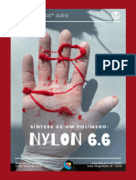 Atividade Laboratorial Química 12ºAno Nylon 6,6