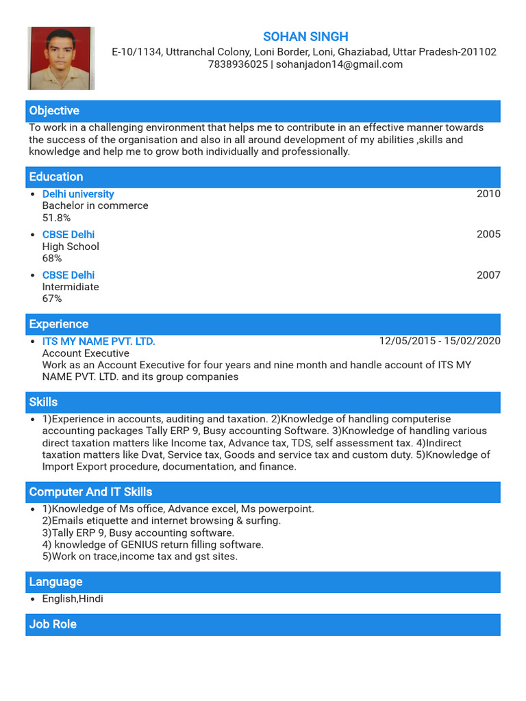 Account Executive Resume Summary | PDF | Taxes | Accounting