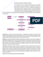 DIFERENCIACIÓN CELULARGRADO SEXTO