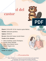 Manual Del Castor-1