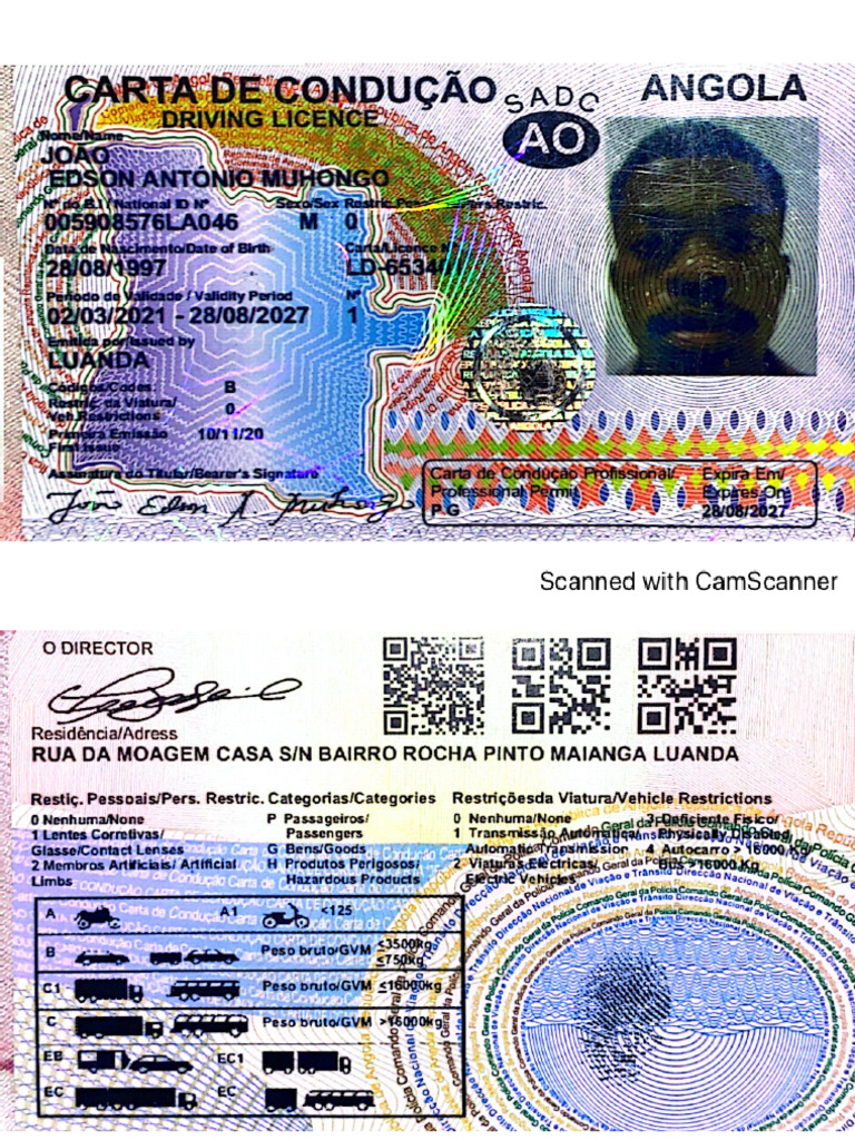 Minha Carta de Condução | PDF