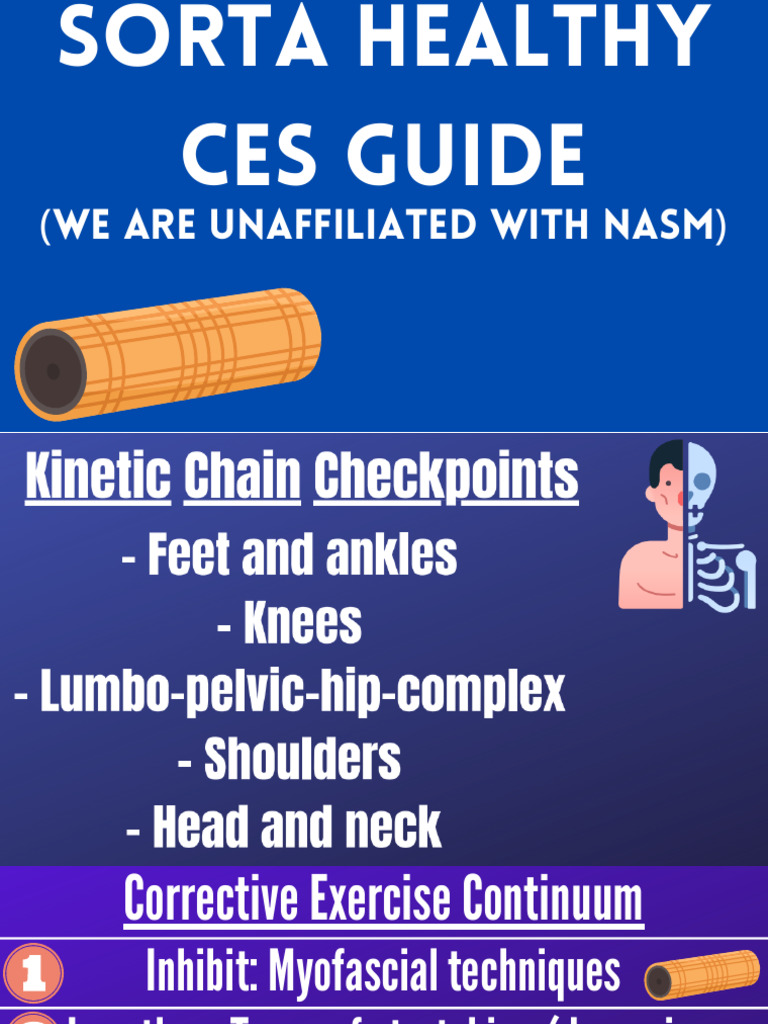 Corrective Exercise Techniques Guide | PDF | Pelvis | Nervous System