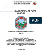 1.00 TDR - COORDINADOR DE PROYECTO