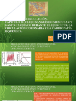 21-Flujo-Sanguineo-Muscular-Y-Gasto Cardiaco-2