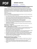 VP Director Professional Services IT in Seattle WA Resume Robert Groom