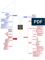 organigrama de los organos