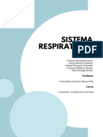 Sistema Respiratorio _20240422_003516_0000 (3)