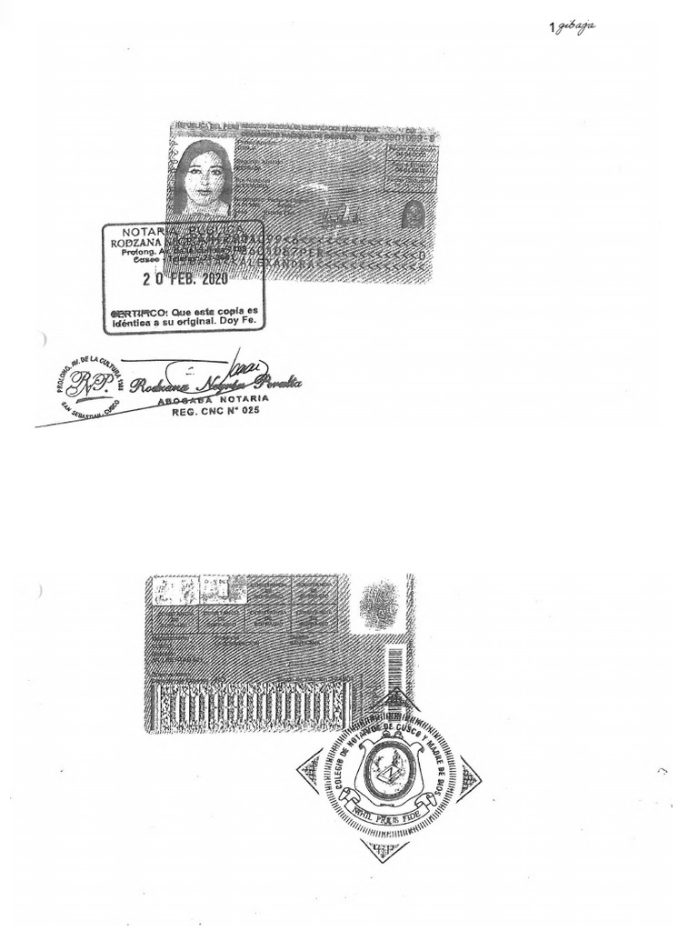 cv-alexandra-gibaja-abril-2022-pdf-liderazgo-economias