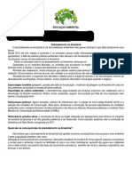 DESMATAMENTO NA AMAZÔNIA