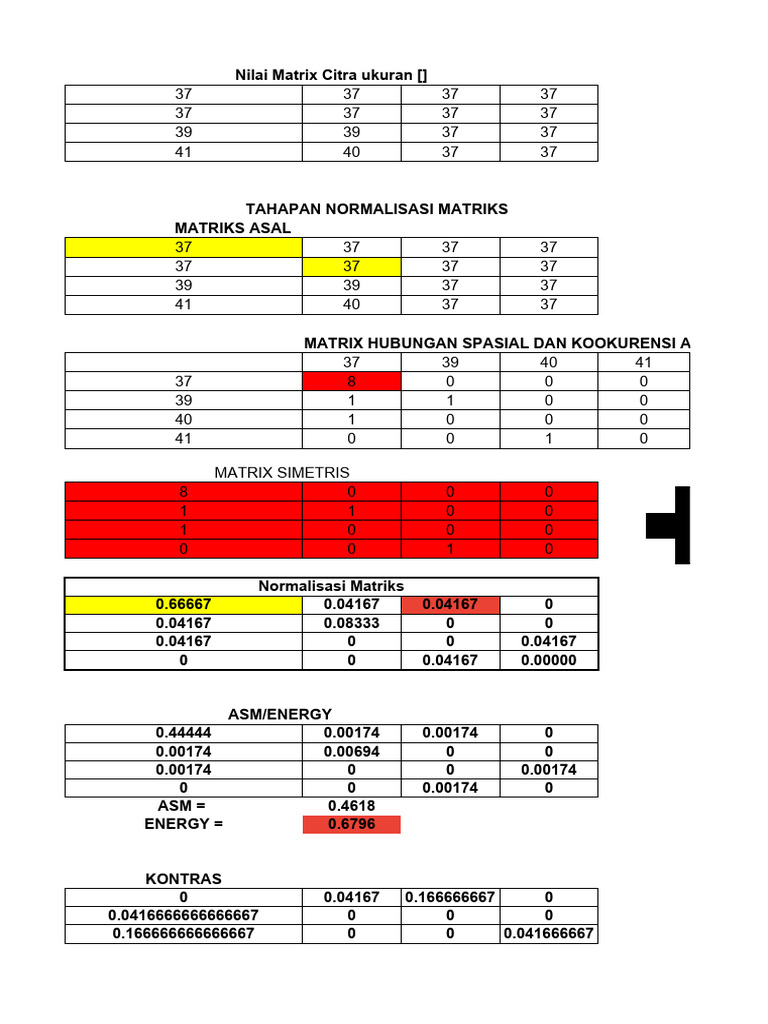 Analisis Matriks Citra dan Normalisasi | PDF