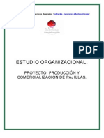 Organizacional Pajillas