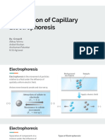 Capillary Electrophoresis