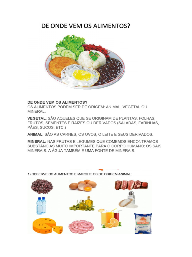 Origem dos Alimentos: Animal, Vegetal e Mineral | PDF