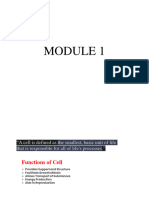 MODULE 1 BBOK407