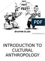 Cultural Anthro Slides
