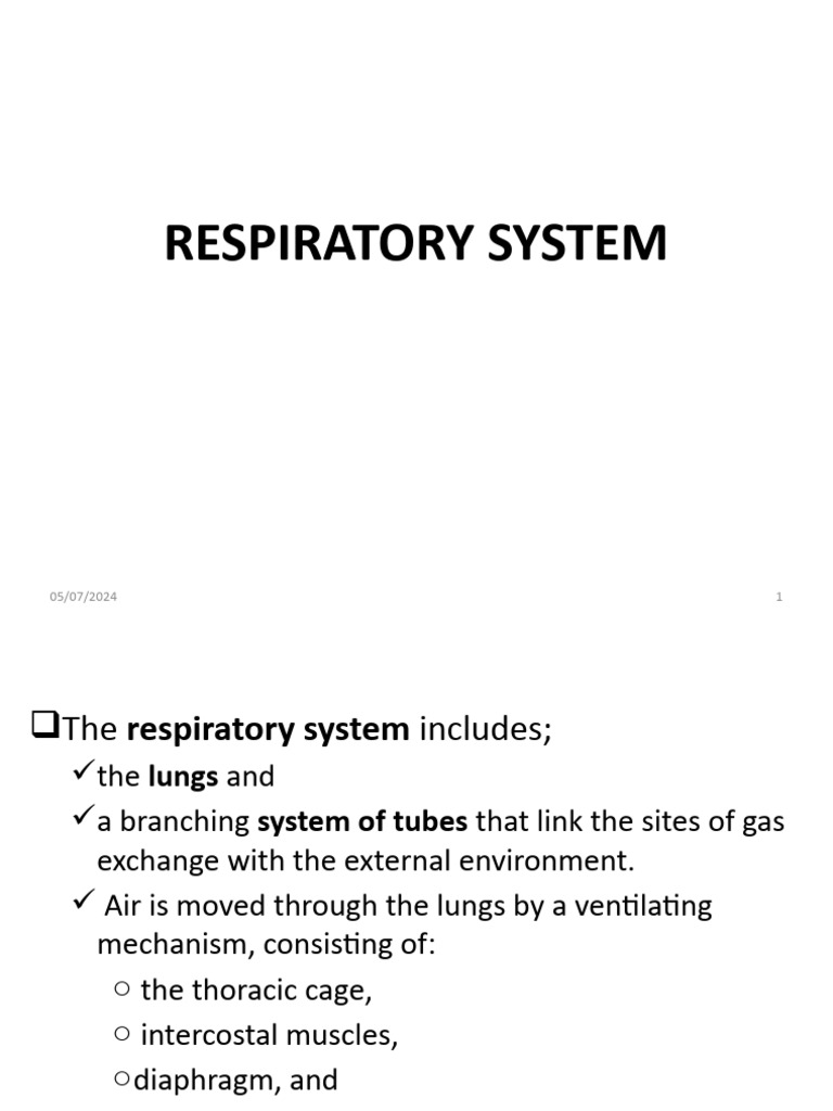 Resparatory System | Download Free PDF | Lung | Respiratory Tract