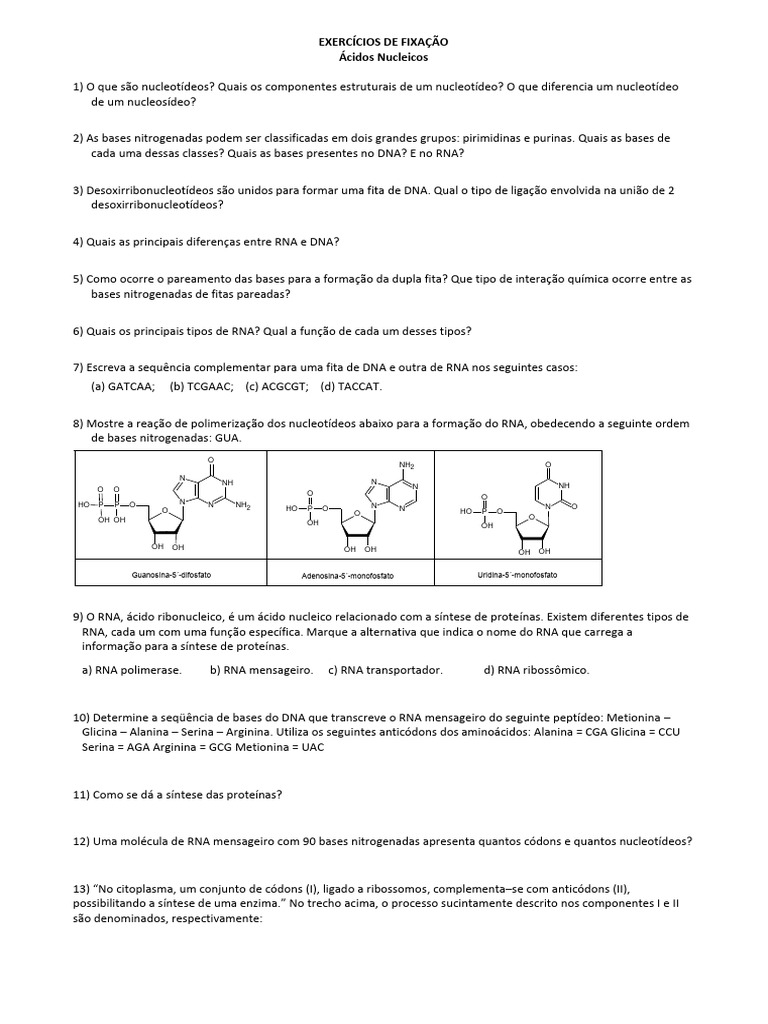 Exercícios sobre Ácidos Nucleicos | PDF | RNA | Biossíntese