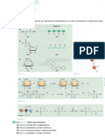 Biomoleculas - Cópia