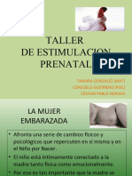 Taller Estimulacion Prenatal 2010