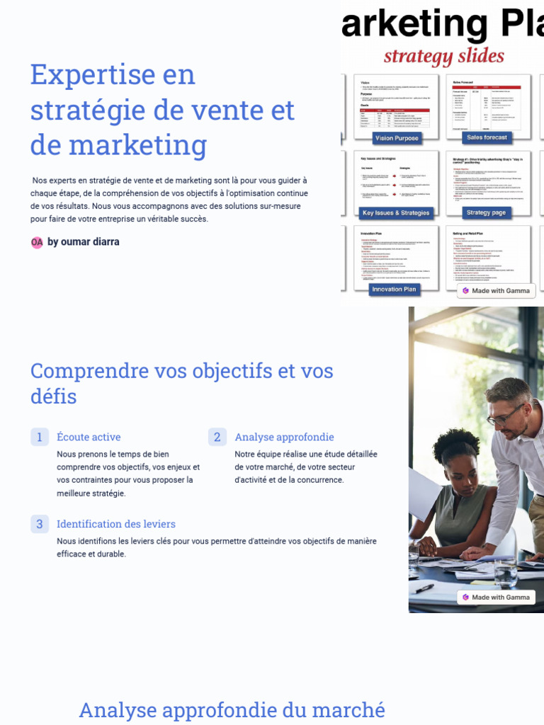 Expertise en Strategie de Vente Et de Marketing | PDF ...