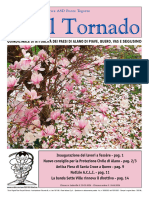 Il_Tornado_795