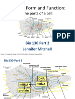 sect2_lec1_1ppt