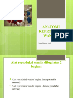 Anatomi Reproduksi
