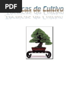 Bonsai -Tecnicas de Cultivo