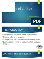 Anatomy of an Eye