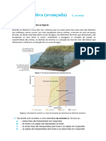 Gctic7 Ficha Formativa Avancada C