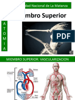 Vascularizacion e Inervacion de Miembro Superior 22 LOCUTADO 2