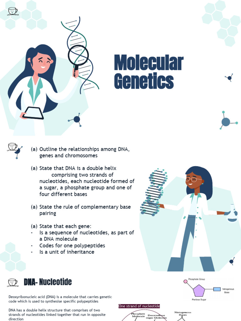 (Bio) Chapter 12 - Molecular Genetics (OVERMUGGED) | PDF | Dna | Gene